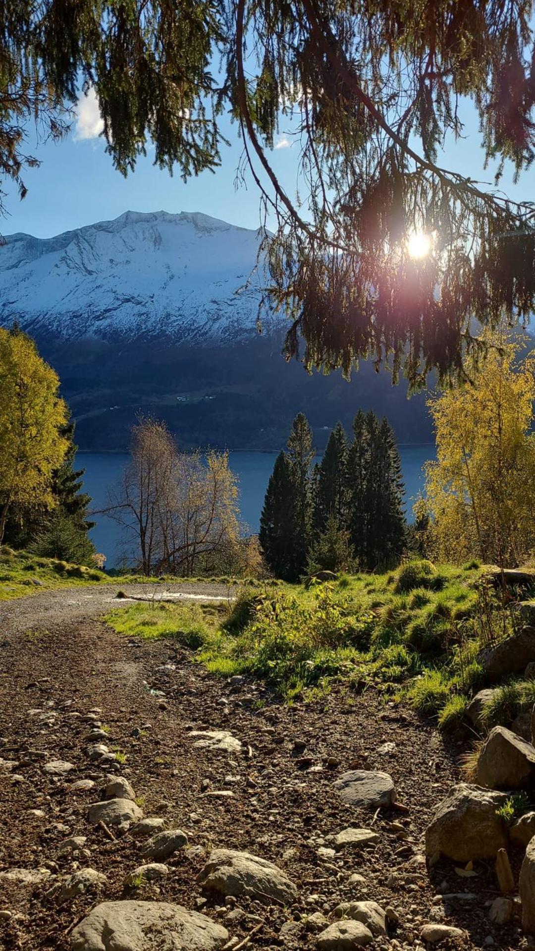 Flotun Stryn
